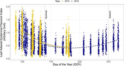 Seasonal Patterns in Spectral Irradiance and Leaf UV-A Absorbance Under Forest Canopies